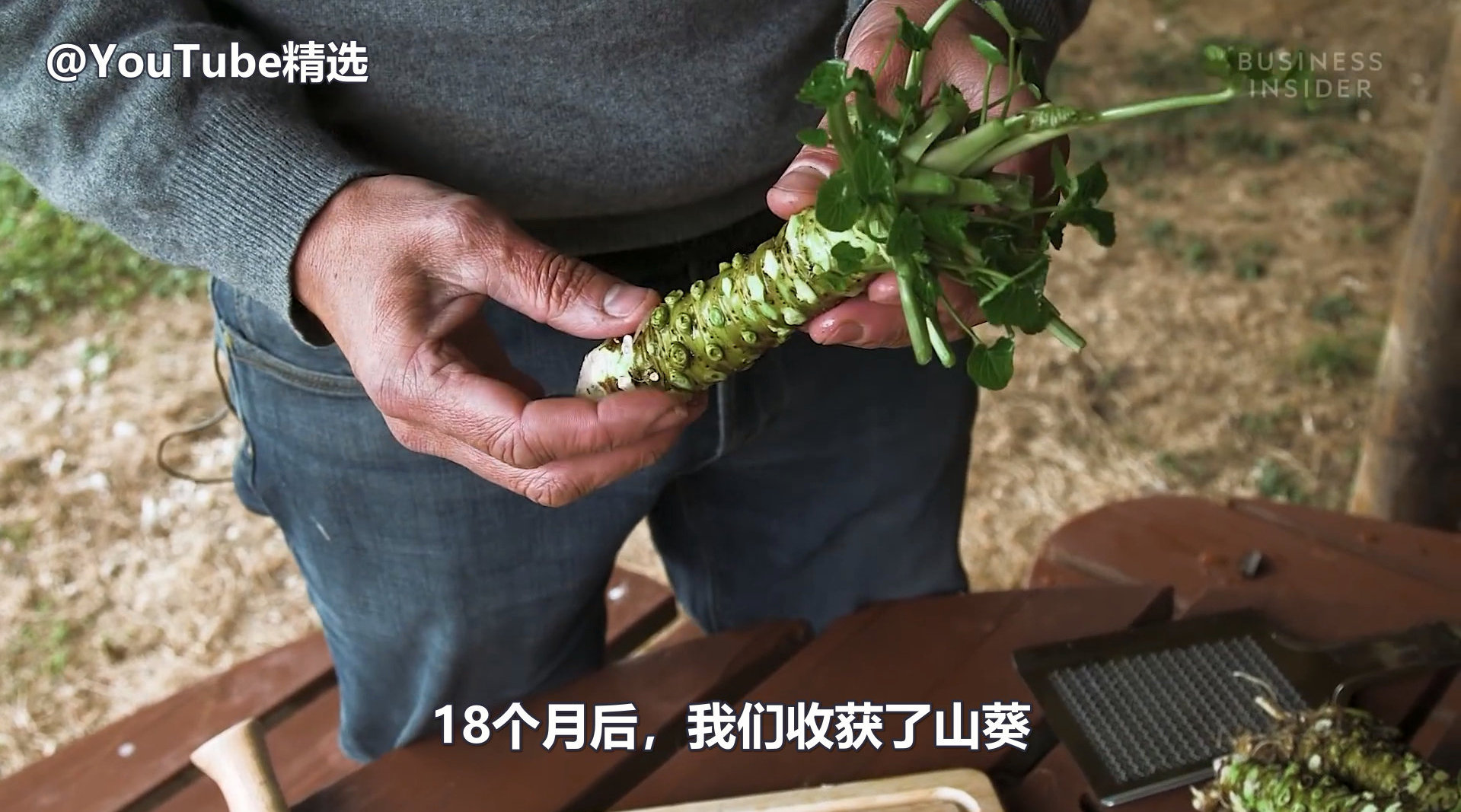 原来我们平时吃的芥末都是假的? Business Insider为你揭秘——为什么真芥末卖那么贵